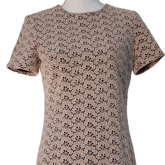 Diane Von Furstenberg/DVF Cindy Acorn Lace Sheath Dress in Stucco - Picture 7 of 8